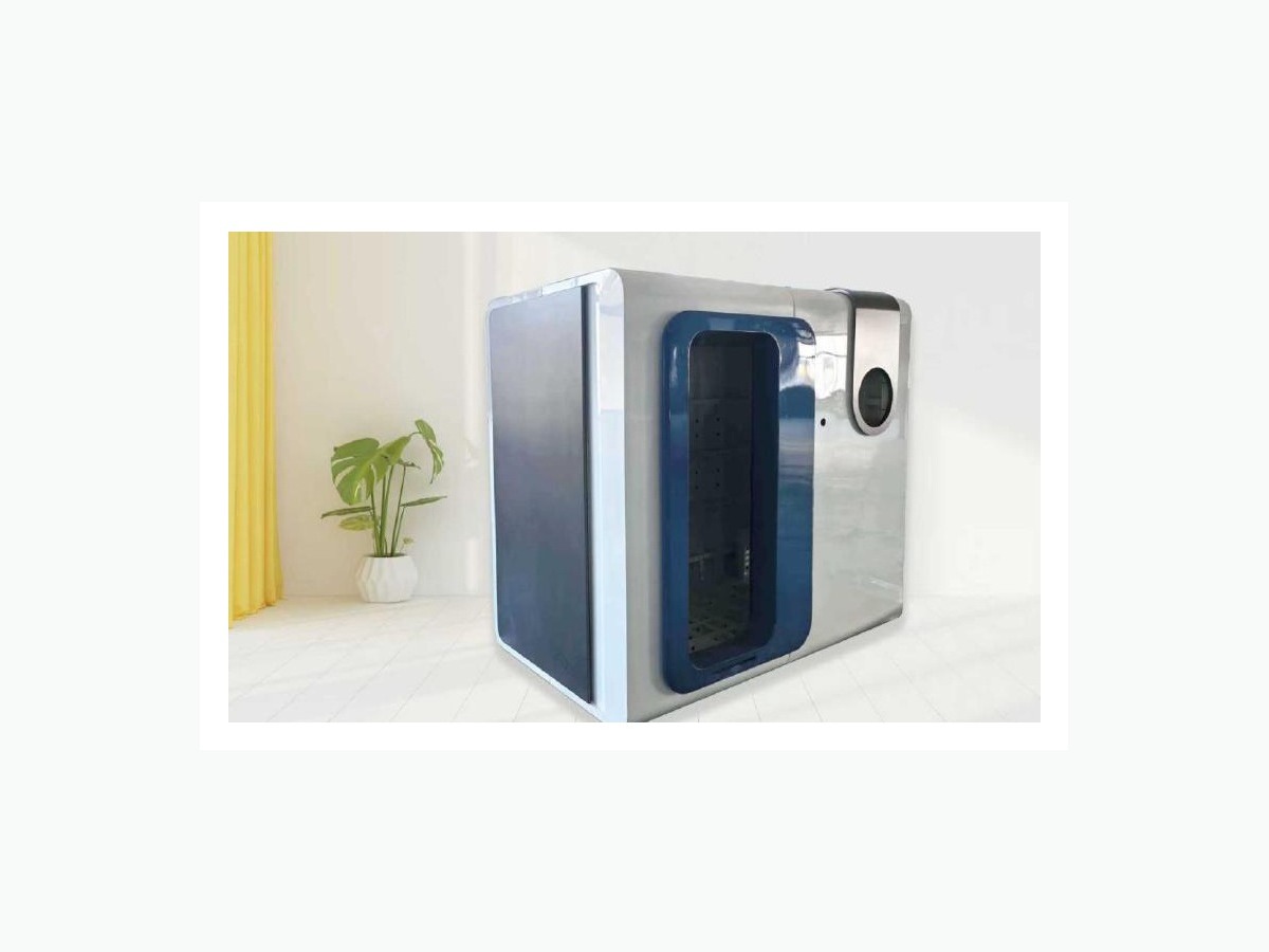 Zen Executive HBOT Pod